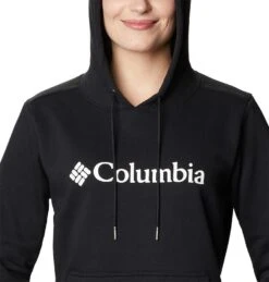 Columbia Women's Logo Hoodie Black -Araeom Shop 1895751 012 a2